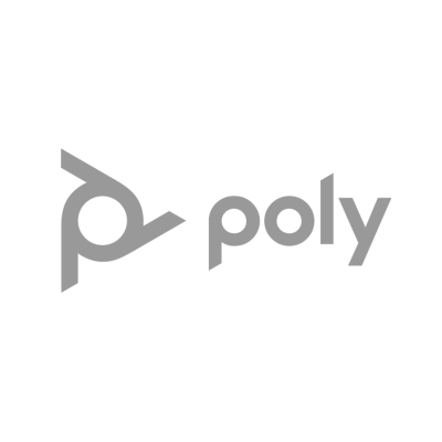 logo-poly-home